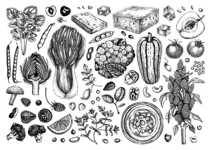 Vegan food illustrations set. Healthy food illustrations. Hand-drawn vegan meals and ingredients for menu, recipe, packaging design. Vegan food, nuts, seeds, fruits, veggies, tofu sketch